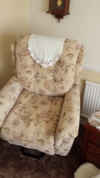 Leather Furniture Care