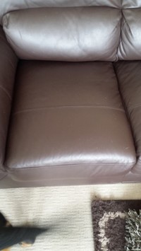 Leather Furniture Care